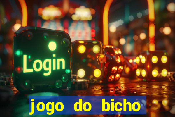 jogo do bicho crash bingo