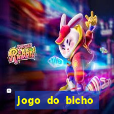 jogo do bicho crash bingo