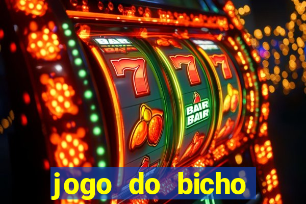 jogo do bicho crash bingo